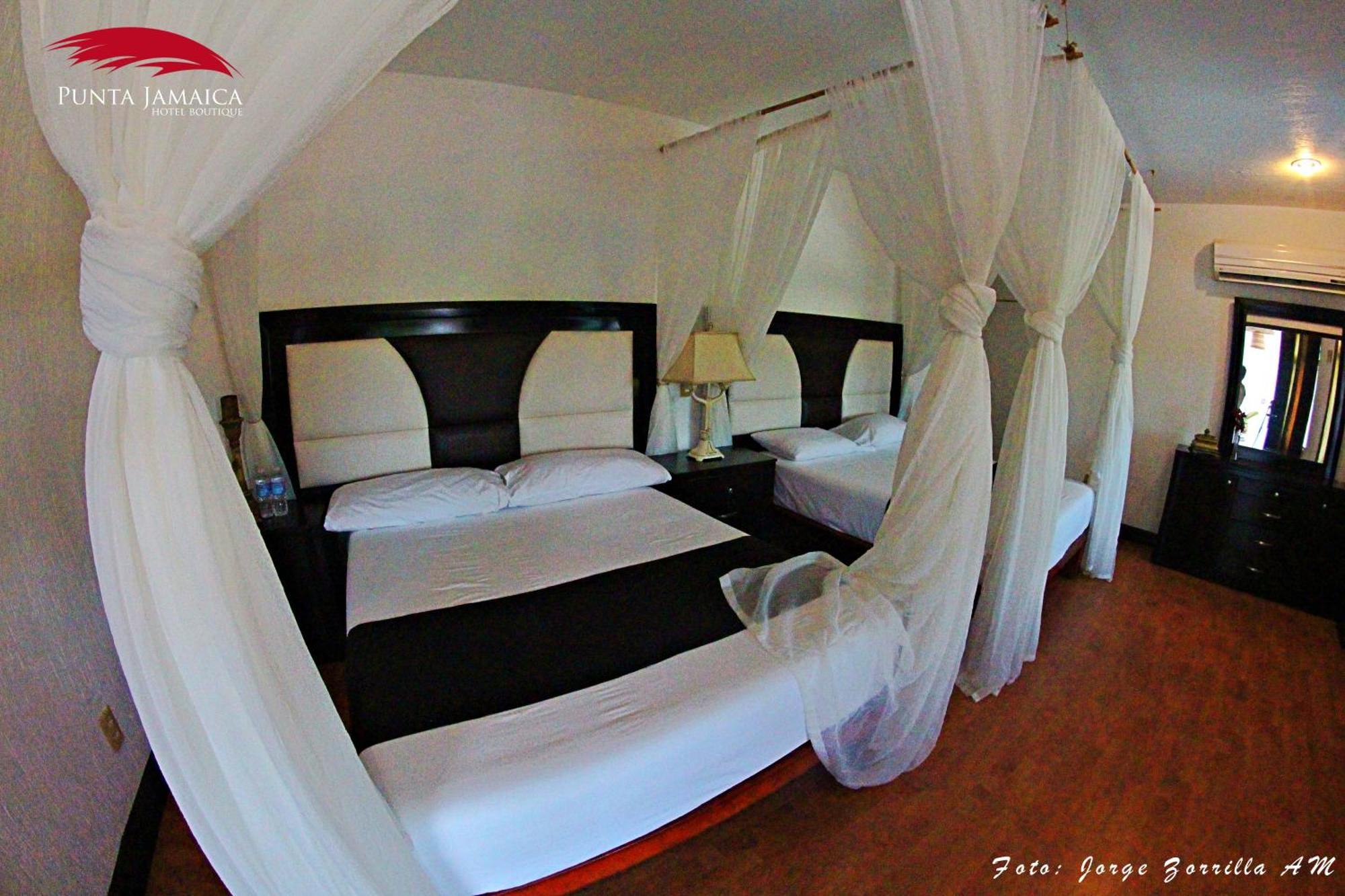 Hotel Boutique Punta Jamaica アカプルコ エクステリア 写真